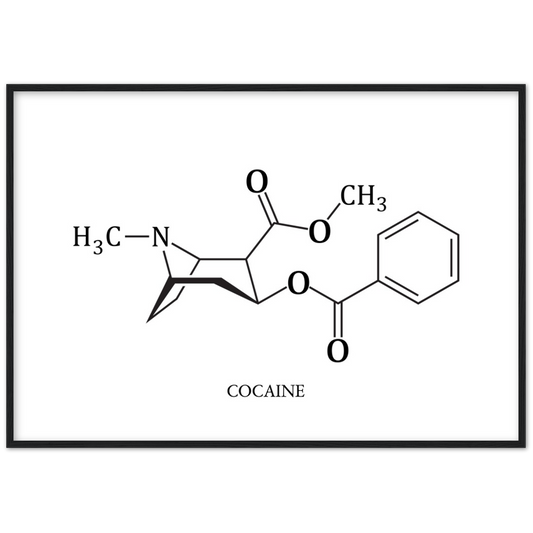 Chemical Composition Of Cocaine