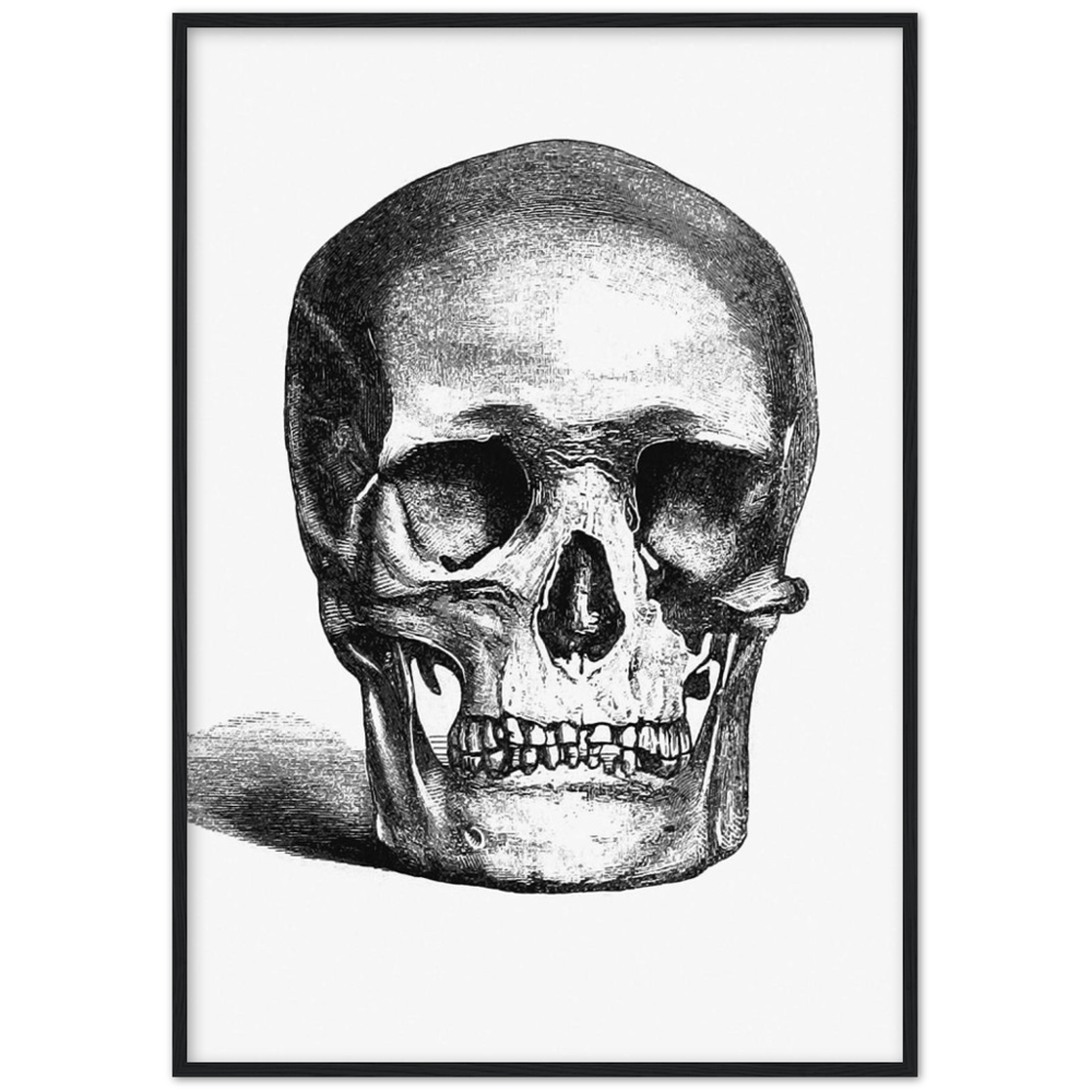 Skull Engraving