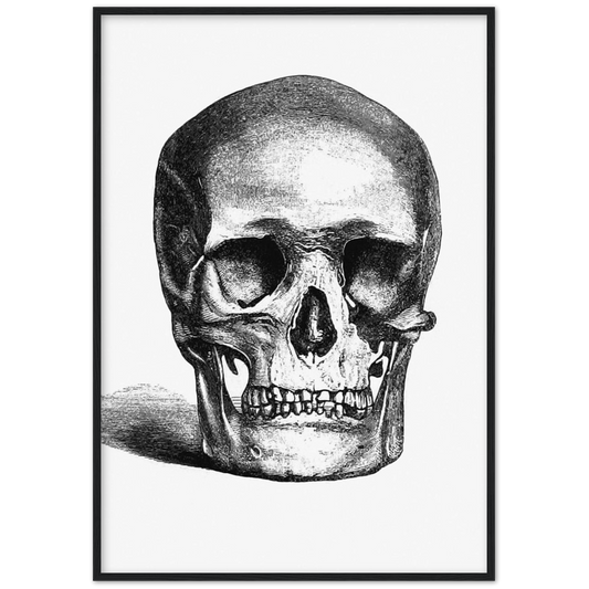 Skull Engraving